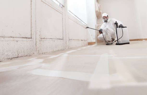 24/7 Emergency Mold Remediation experts in Savannah, GA