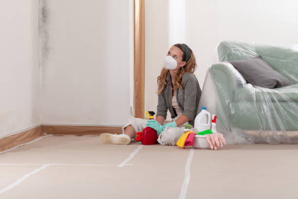Reliable Mold Remediation contractor in Savannah, GA by 24 Hour Mold Removal